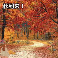画像260