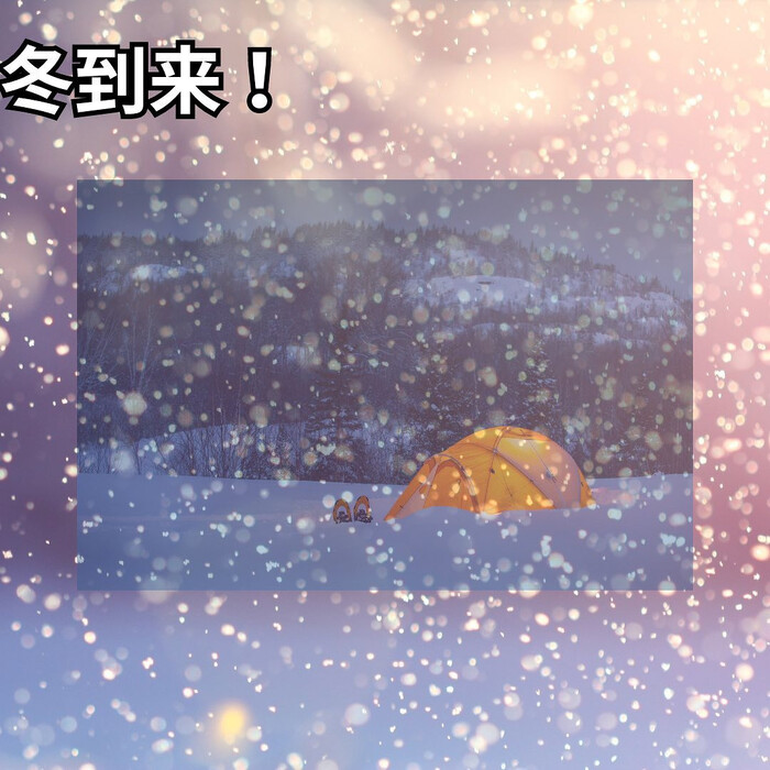 画像310